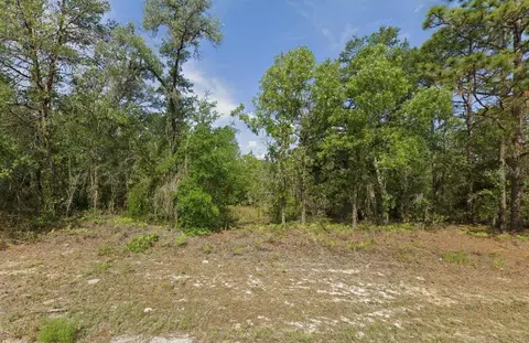 6502 N Matheson Dr, Citrus Springs, FL 34434