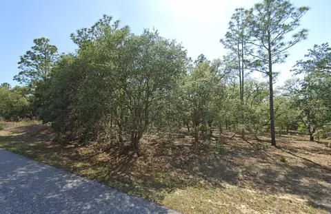 6004 N Darlington Dr, Citrus Springs, FL 34434