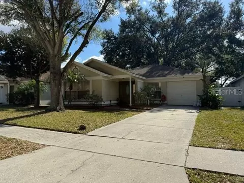 426 Benson St, Valrico, FL 33594