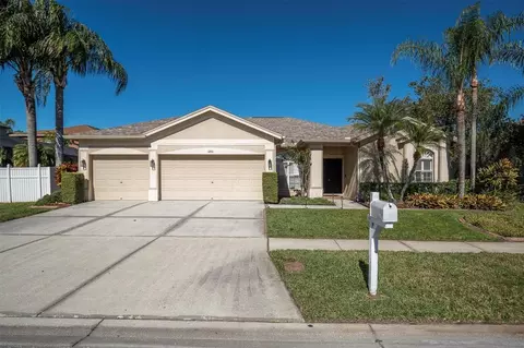 12511 Royal Dublin Ave, Odessa, FL 33556