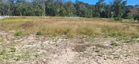 7285 Norman St, Webster, FL 33597 photo 11