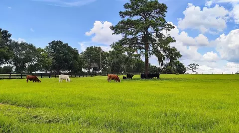 8385 S Pleasant Grove Rd, Inverness, FL 34452