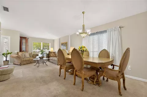13307 Amber Sky Pl, Riverview, FL 33579 photo 14