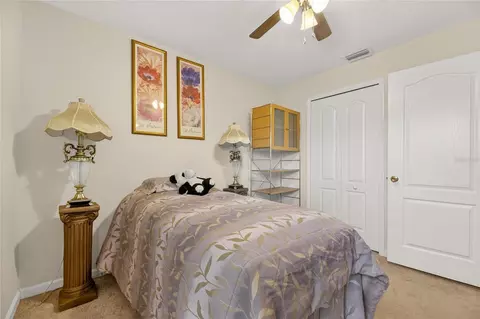 13307 Amber Sky Pl, Riverview, FL 33579 photo 45
