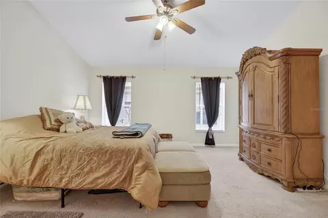 13307 Amber Sky Pl, Riverview, FL 33579 photo 39