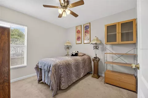 13307 Amber Sky Pl, Riverview, FL 33579 photo 46
