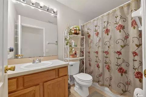 13307 Amber Sky Pl, Riverview, FL 33579 photo 41