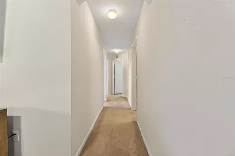 13307 Amber Sky Pl, Riverview, FL 33579 photo 40