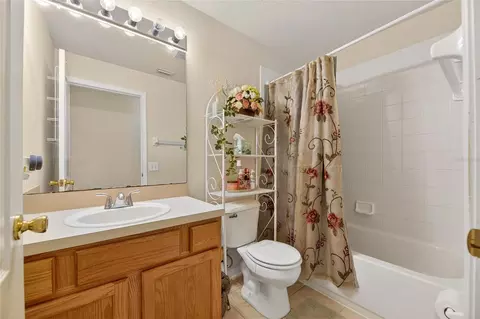 13307 Amber Sky Pl, Riverview, FL 33579 photo 42