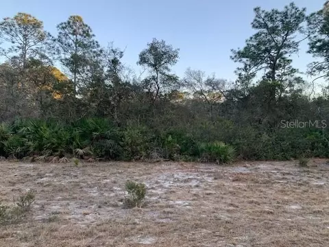 131 Edgemere Dr, Georgetown, FL 32139 photo 1