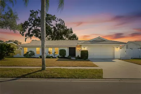 1101 Mcfarland St, Dunedin, FL 34698
