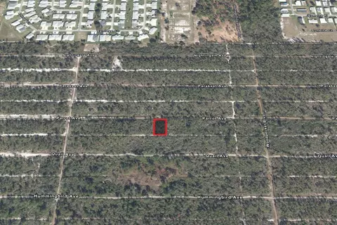 533 Parrot Ave, Sebring, FL 33872 photo 3