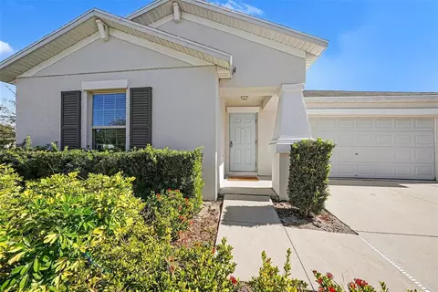 10128 Crested Fringe Dr, Riverview, FL 33578