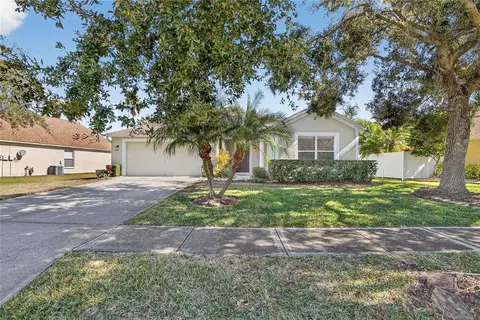 1150 Big Creek Dr, Wesley Chapel, FL 33544