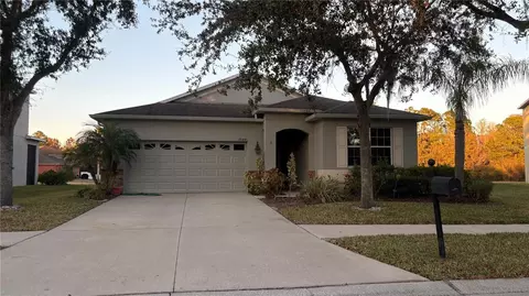 20445 Autumn Fern Ave, Tampa, FL 33647