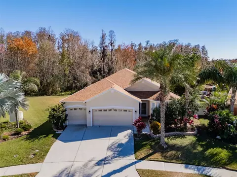 31230 Alchester Dr, Wesley Chapel, FL 33543
