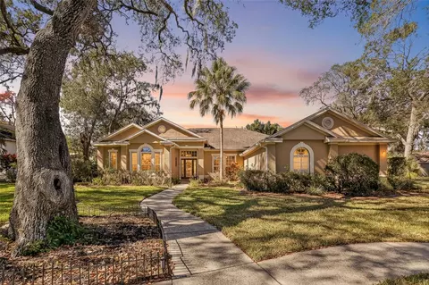 502 Little Eagle Ct, Valrico, FL 33594