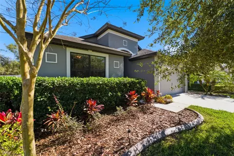 8328 Auburn Rise Ct, Land O Lakes, FL 34638