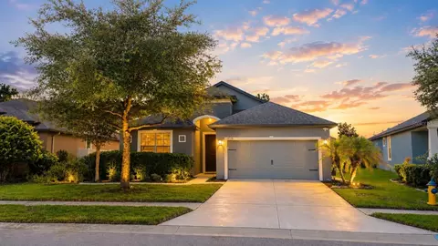 8328 Auburn Rise Ct, Land O Lakes, FL 34638