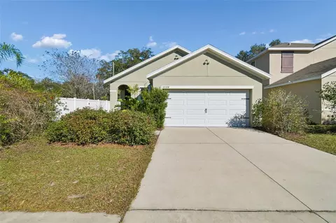 10104 Hawk Storm Ave, Tampa, FL 33610