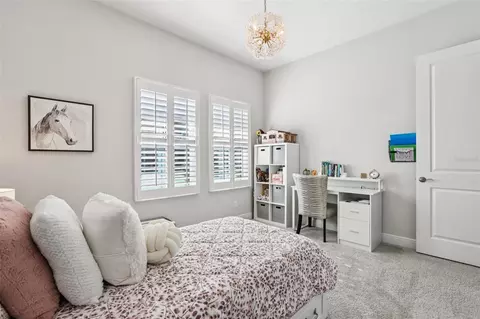 Bedroom - 11263 Rustic Timber Loop, San Antonio, FL 33576 photo 11 of 17
