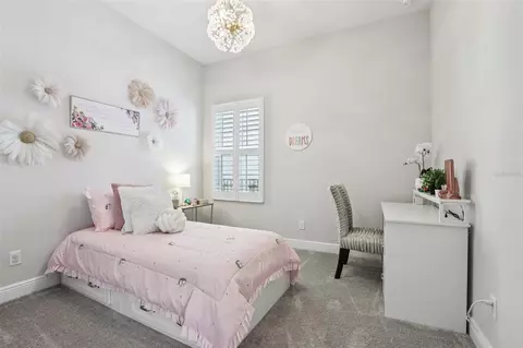 Bedroom - 11263 Rustic Timber Loop, San Antonio, FL 33576 photo 5 of 17