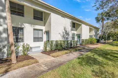 4311 La Vera Ct, Tampa, FL 33611