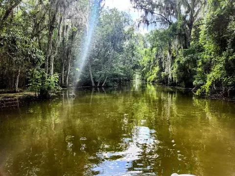 pine ridge road, Leesburg, FL 34748