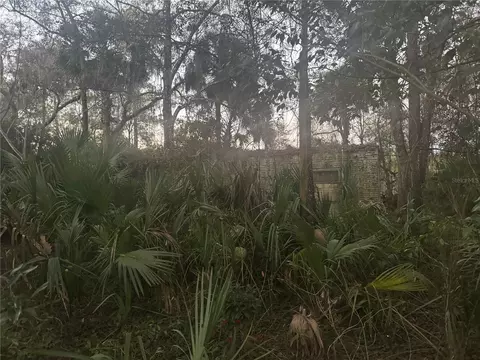 5600 NE 165th Terrace Rd, Silver Springs, FL 34488