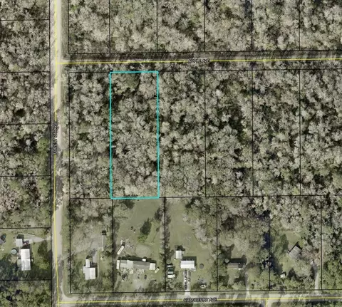 3909 Apple Ave, Bunnell, FL 32110 photo 1