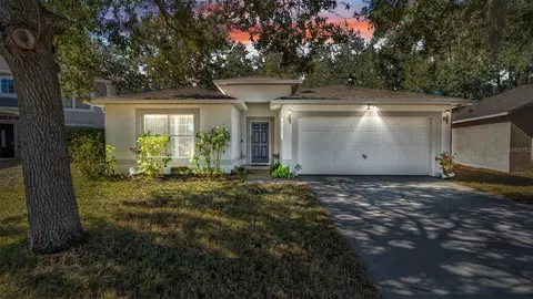 30244 Birdhouse Dr, Wesley Chapel, FL 33545