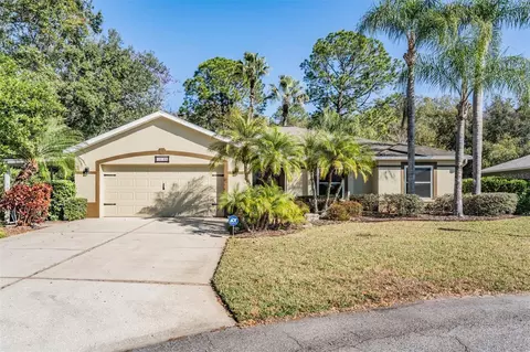 10133 Collar Dr, San Antonio, FL 33576