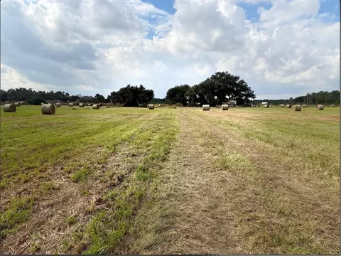 13029 S County Road 39, Lithia, FL 33547