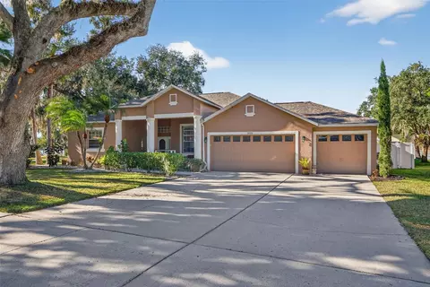 3533 Mossy Oak Cir, Land O Lakes, FL 34639