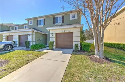 20424 Needletree Dr, Tampa, FL 33647