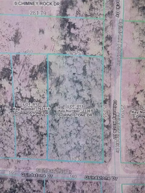 Grindstone Drive, Webster, FL 33597