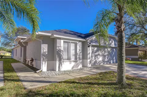 18109 Canal Pointe St, Tampa, FL 33647