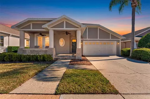 19413 Golden Slipper Pl, Lutz, FL 33558
