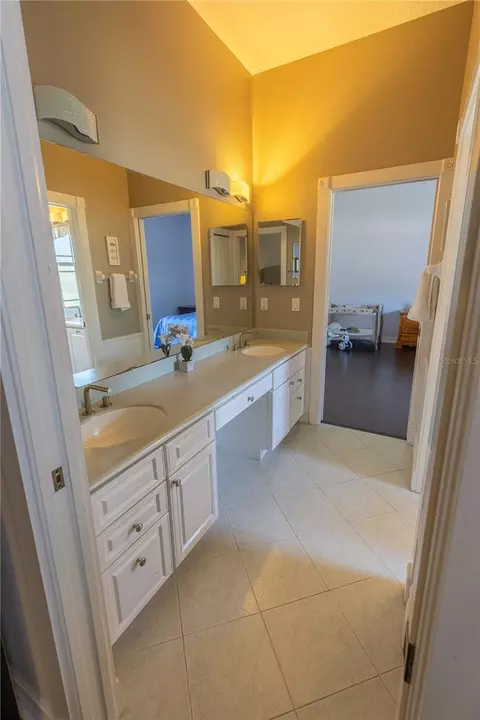 Bath - 13717 Canterfield Dr, Riverview, FL 33579 photo 5 of 6