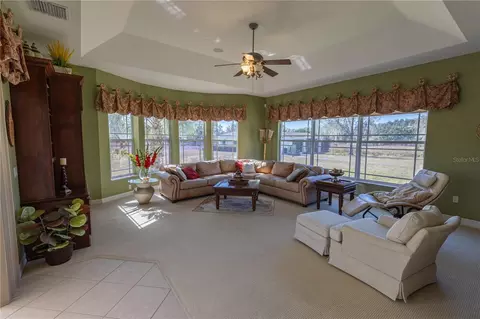 Living - 13717 Canterfield Dr, Riverview, FL 33579 photo 5 of 8