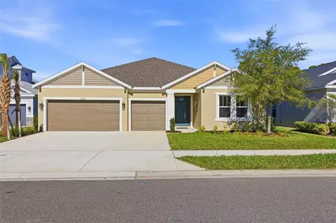 33332 Castaway Loop, Wesley Chapel, FL 33543 photo 1