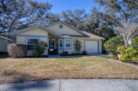 1460 Brier Ct, Palm Harbor, FL 34683