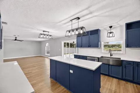 Kitchen - 13531 Mango Bay Dr, Riverview, FL 33579 photo 7 of 7
