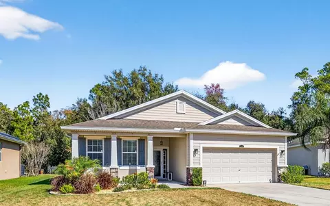808 Bronze Bush Ct, Plant City, FL 33566