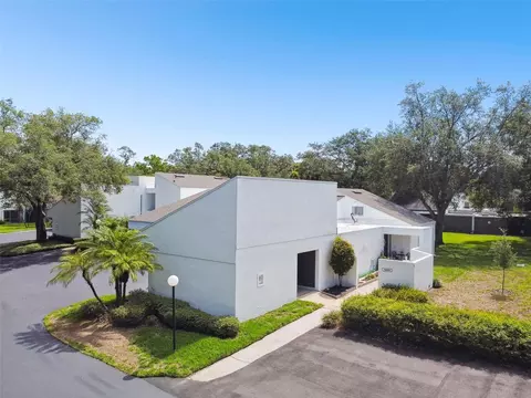 14135 Cypress Cir, Tampa, FL 33618
