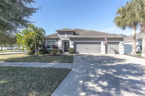 10223 Caraway Spice Ave, Riverview, FL 33578