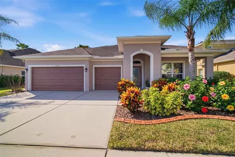 31520 Holcomb Pass, Wesley Chapel, FL 33543