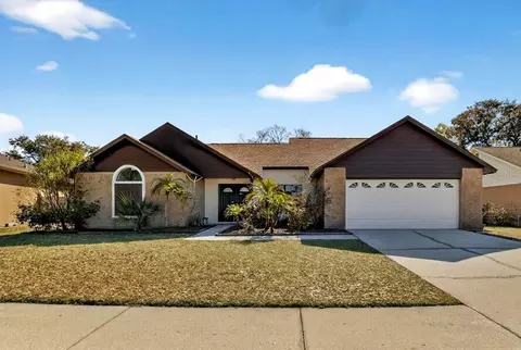 4207 Spring Way Cir, Valrico, FL 33596