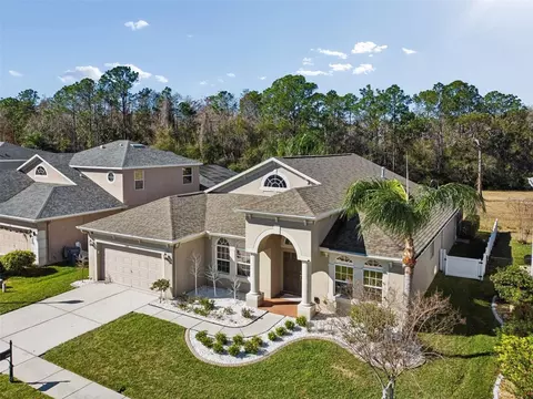 2328 Brinley Dr, Trinity, FL 34655