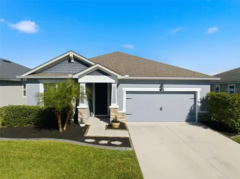 12926 Satin Lily Dr, Riverview, FL 33579